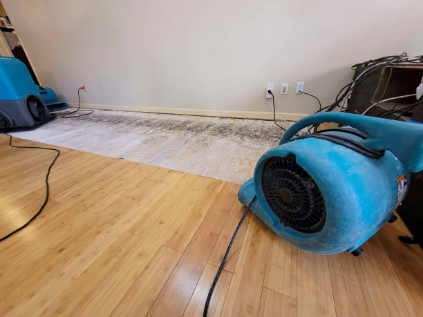 Reliable Flood Damage Restoration contractor in Santo, TX by Hirex Water Damage