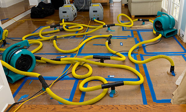Professional Flood Damage Restoration technician working in Santo, TX